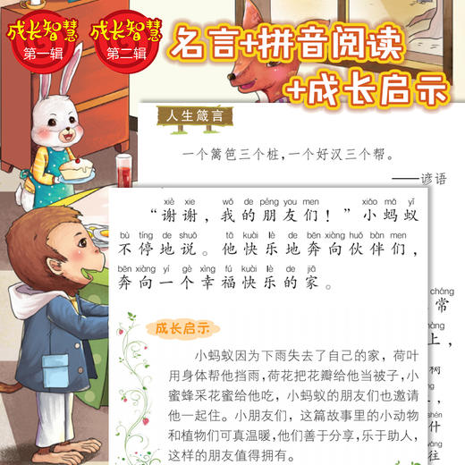 成长智慧第一辑+第二辑全12册 商品图4