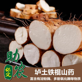 垆土铁棍山药3-5斤
