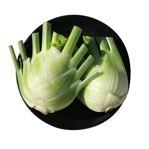 农家新鲜现挖球茎茴香 口感脆嫩 西餐香料沙拉食材可炒食 特色蔬菜400g 商品图6