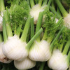 农家新鲜现挖球茎茴香 口感脆嫩 西餐香料沙拉食材可炒食 特色蔬菜400g 商品缩略图2