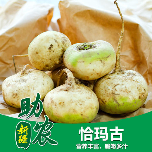 新疆恰玛古 商品图0