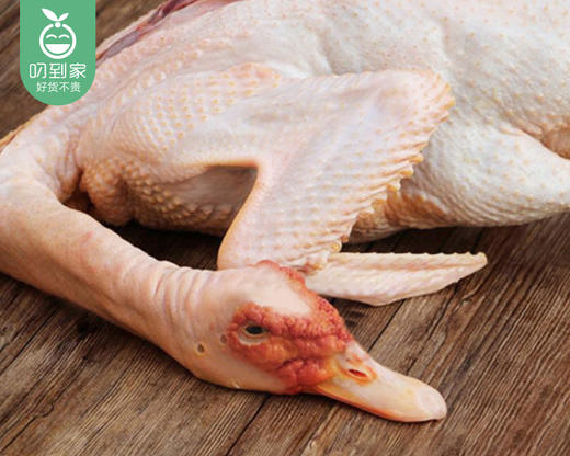 漳州红脸黑羽老番鸭/半只(750-900g)