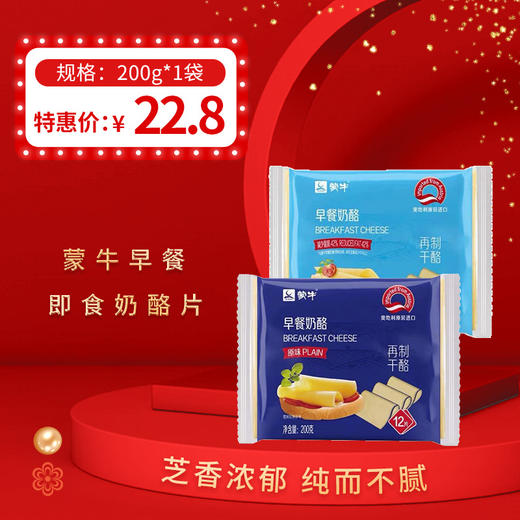 蒙牛芝士片200g早餐即食奶酪，保质期365天，需冷藏储存 商品图0