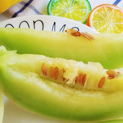 玉奶香(1.9—2.1斤) - 四季金果园