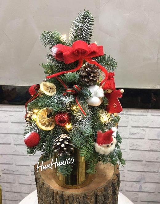 圣诞礼丨诺贝松圣诞树香柠檬桂皮 商品图0