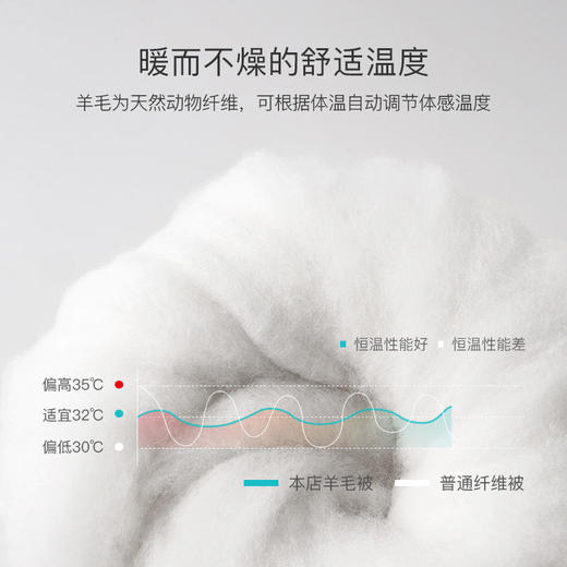 「希尔顿羊毛被」100%羊毛（含10%澳洲羊毛）暖而不燥柔软透气碳化处理高洁净无异味，还你五星睡眠 商品图3