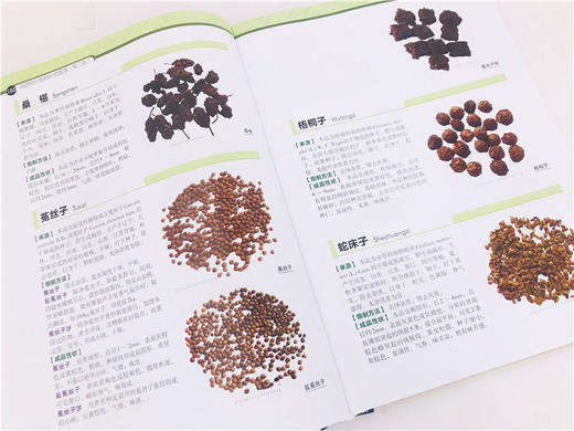 中药饮片炮制彩色图谱第二版闫雪生1000余种中药饮片品种常用中药饮片炮制大全书籍炮制方法成品性状注意事项中药炮制药材配伍配制 商品图2
