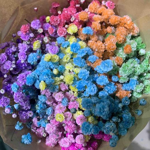 吸色满天星 彩星 500g