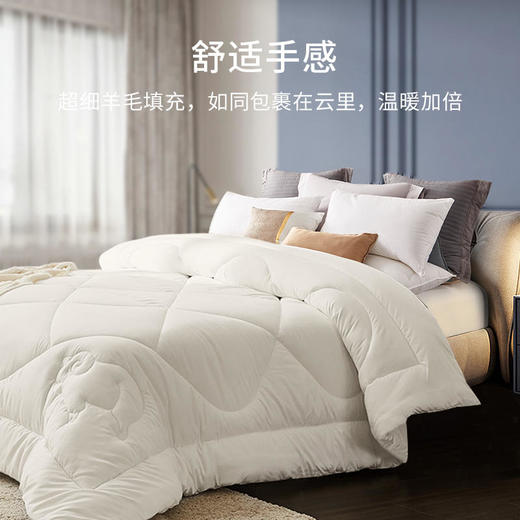 「希尔顿羊毛被」100%羊毛（含10%澳洲羊毛）暖而不燥柔软透气碳化处理高洁净无异味，还你五星睡眠 商品图1