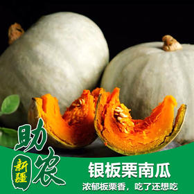 新疆银板栗南瓜