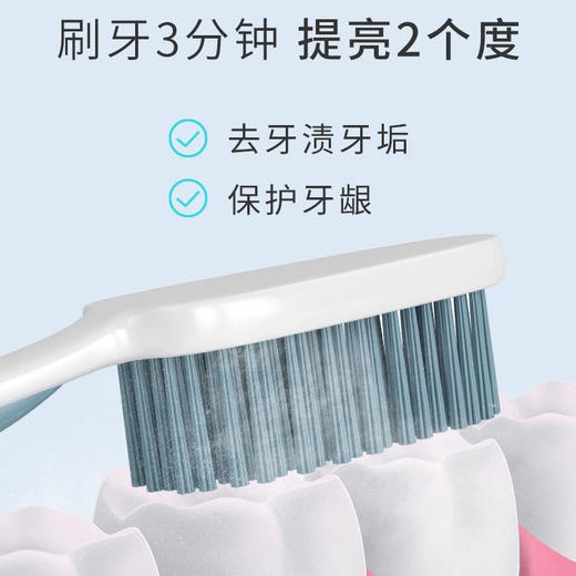 【第2件10元】【三金西瓜霜】清渍健齿牙粉益生菌洁牙慕斯去渍去黄降火清口气 商品图3