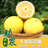 平和葡萄柚10斤 商品缩略图0
