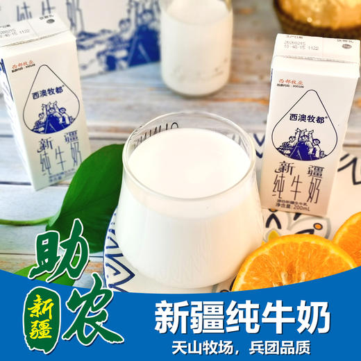 马三三西澳牧都纯牛奶（奶砖） 商品图0
