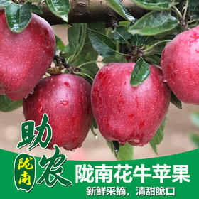 陇南花牛苹果5-10斤