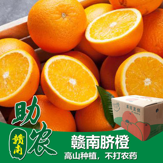 江西赣南脐橙20斤 商品图0