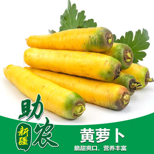 新疆黄萝卜（5斤） 商品图0