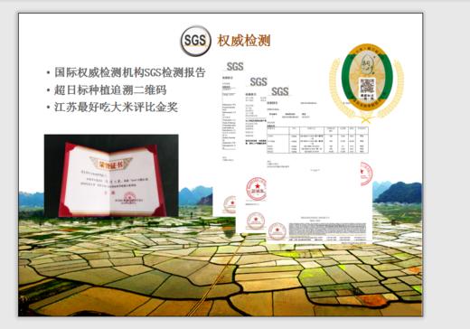 新年魔力组合，拼单满减 商品图1