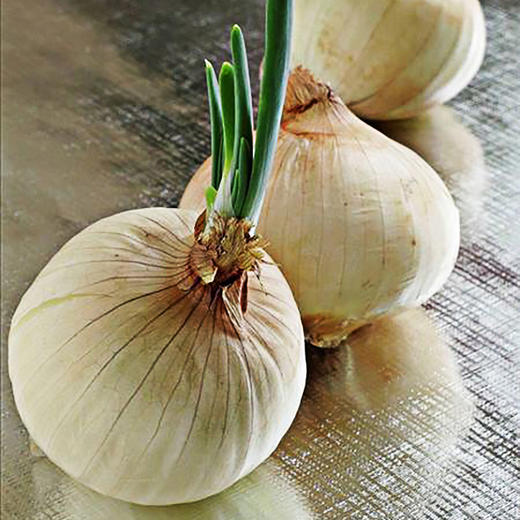 新疆双色洋葱5斤（混发） 商品图4