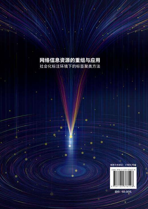 网络信息资源的重组与应用 社会化标注环境下的标签聚类方法 李慧宗 网络信息资源管理 标签聚类方法研究书籍 互联网 大数据 商品图1