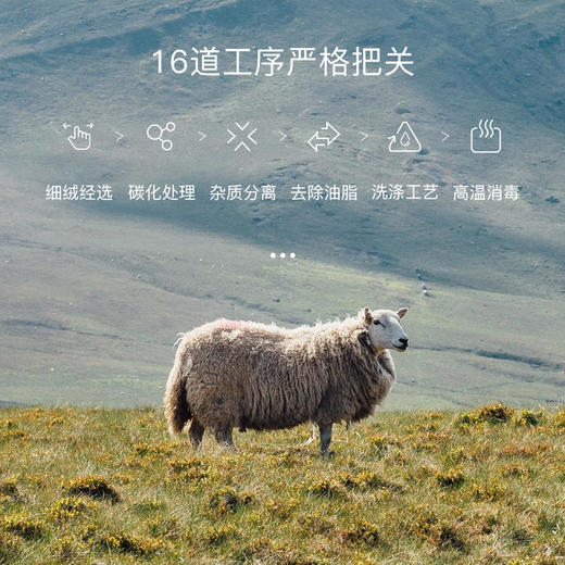 「希尔顿羊毛被」100%羊毛（含10%澳洲羊毛）暖而不燥柔软透气碳化处理高洁净无异味，还你五星睡眠 商品图2