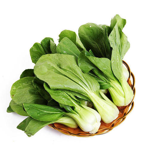 上海青500g/份 商品图0