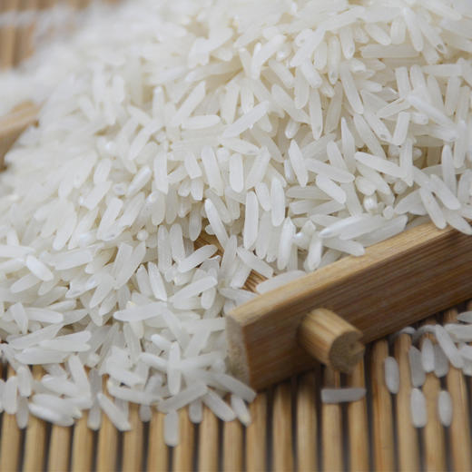 隆平高科桂香2号 5kg/真空
 商品图2