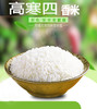 隆平高科四香米 5kg/真空
 商品缩略图2