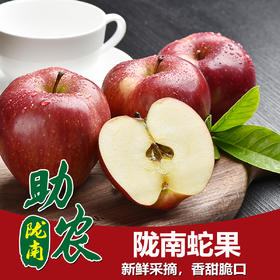 甘肃陇南蛇果5-10斤