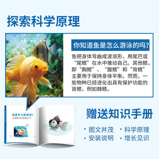 玩物百科机械金鱼（yw） 商品图4