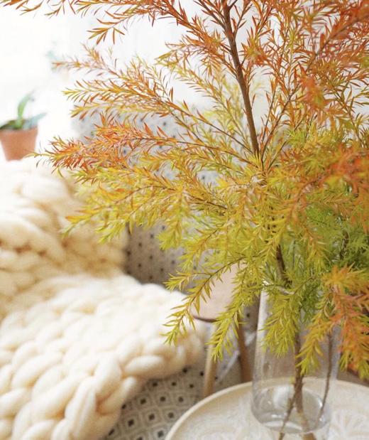 【周四秒杀】秋色系千层金两枝49.8元 商品图2