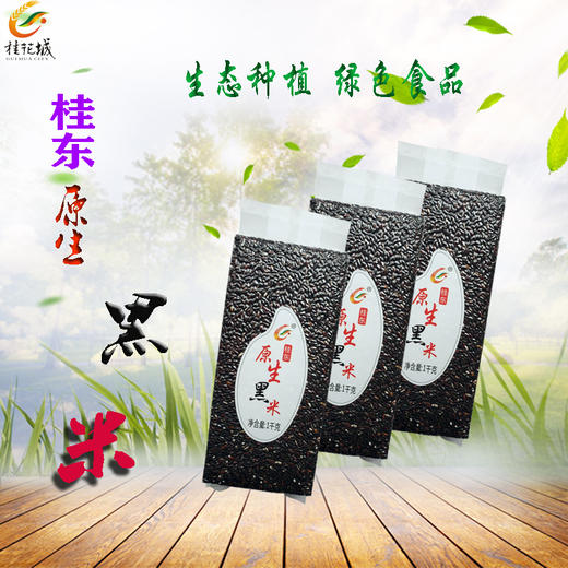 隆平高科原生黑米 1kg/真空 商品图0