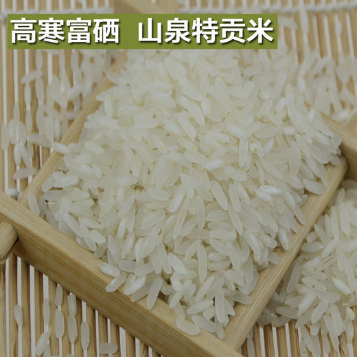 隆平高科山泉特贡米 5kg/真空
 商品图2