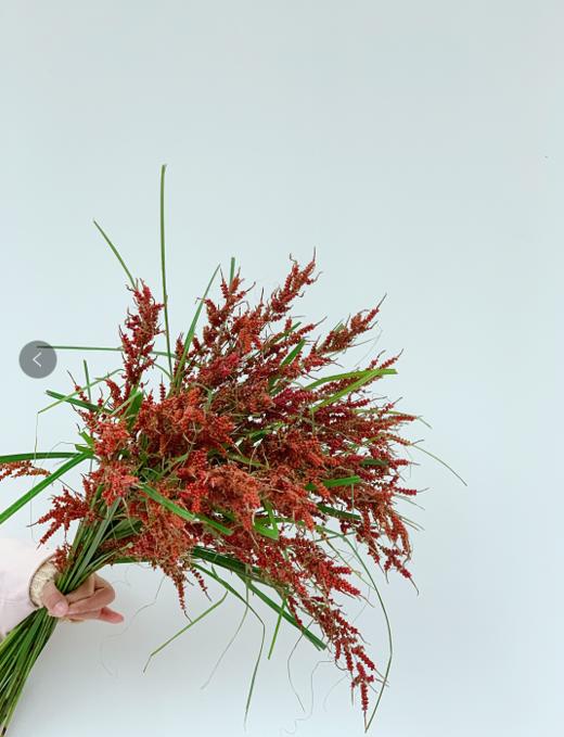 【周四团购】秋名禾49.9元 2人拼团 商品图1