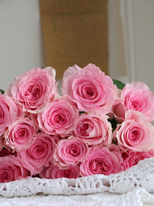 【周四秒杀】洛神玫瑰10支59.8元 商品图2