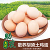广东散养胡须土鸡蛋 商品缩略图0