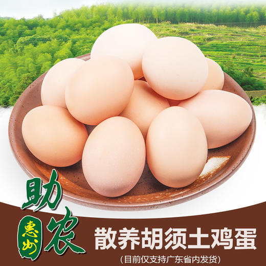 广东散养胡须土鸡蛋 商品图0