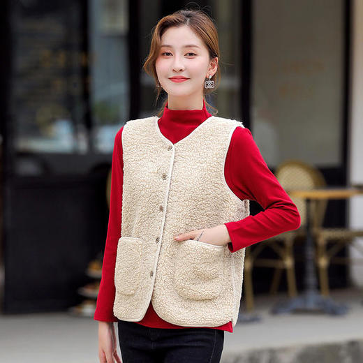 DS-6601新款仿羊羔毛皮毛一体背心马甲外套 商品图0