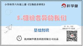 6.4.5《相貌各异的我们》基础课程