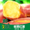 陕西板栗红薯5-10斤 商品缩略图0