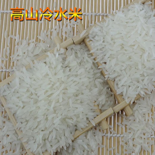 隆平高科冷水米 2.5kg/真空
 商品图3