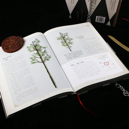 后浪正版现货 中国冷兵器图典 冷兵器研究 收录各门类兵器画册 古代军事知识艺术鉴赏图集 战争游戏科普书籍 商品图8