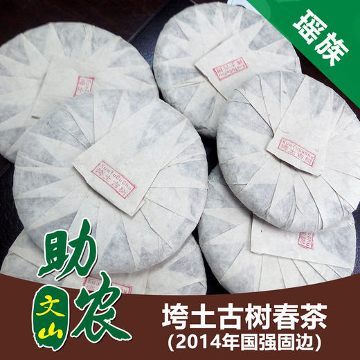 云南普洱垮土古树（2014年国强固边） 商品图0