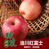 洛川红富士5-10斤 商品缩略图0