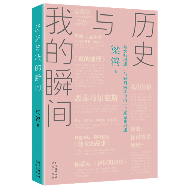 历史与我的瞬间 梁鸿著 文学 文化 随笔作品集 花城出版社正版书籍