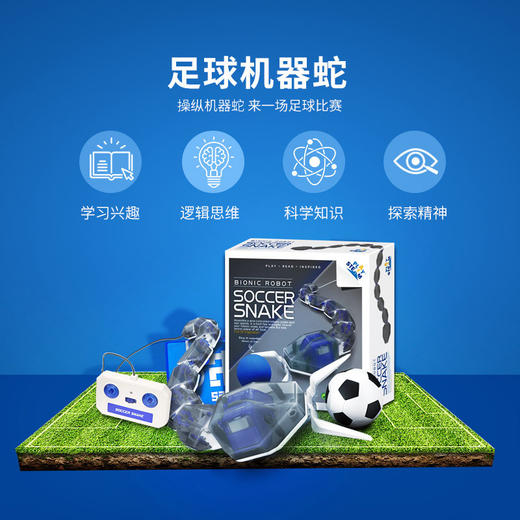 玩物百科足球机器蛇（yw） 商品图2