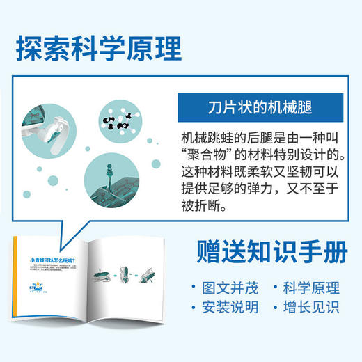 玩物百科机械跳蛙（yw） 商品图3