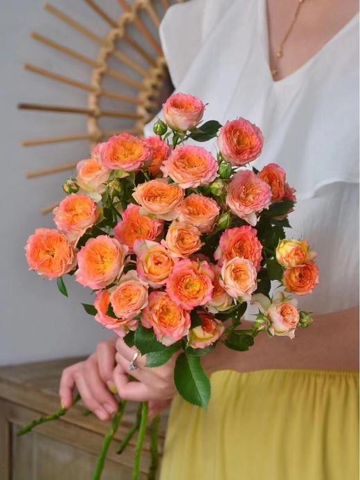 【周四团购】浪漫爱人泡泡玫瑰59.9元 2人拼团 商品图2