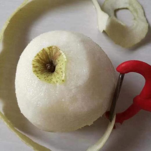 砀山老树酥梨 当季时令水果 汤山纯甜酥脆皇冠梨 精品大果5斤/10装 商品图5