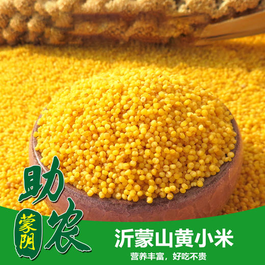山东沂蒙山黄小米5斤 商品图0
