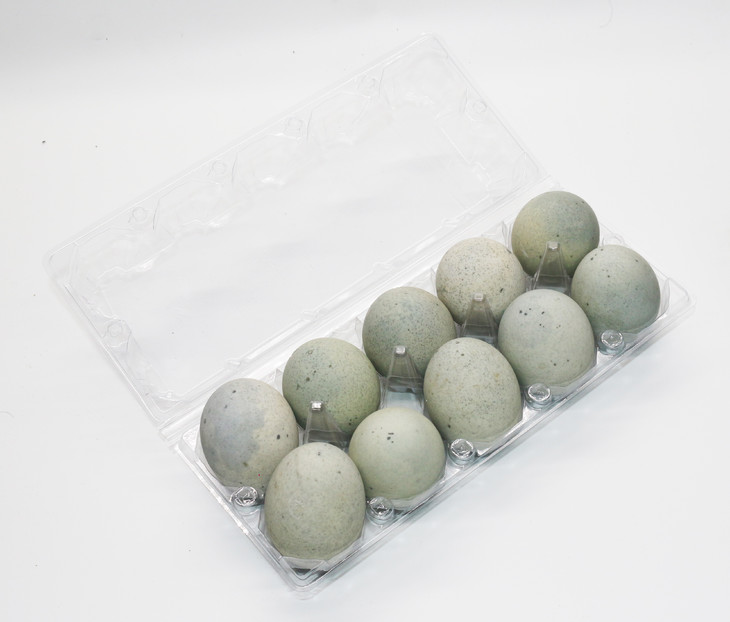 松花蛋10枚塑盒装